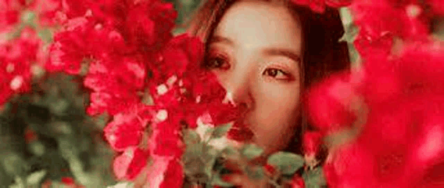 a woman is peeking out from behind a bunch of red flowers .