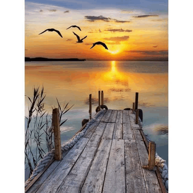 a wooden dock overlooking a body of water with birds flying overhead at sunset .