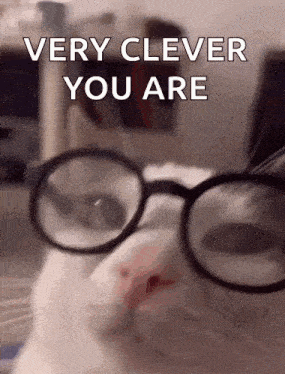 a white cat wearing glasses with the words very clever you are on the bottom