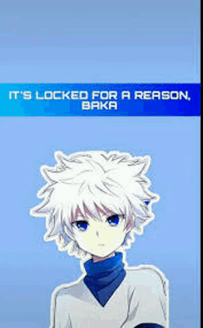 it 's locked for a reason , baka , a picture of a boy with white hair and blue eyes .