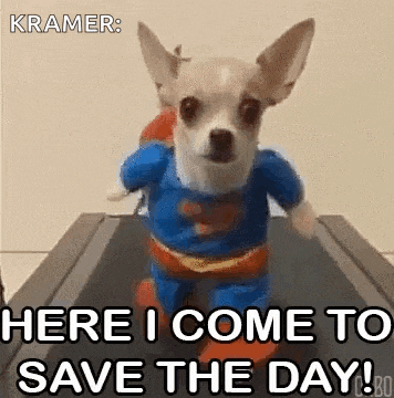 a small dog is dressed as superman and running on a treadmill .