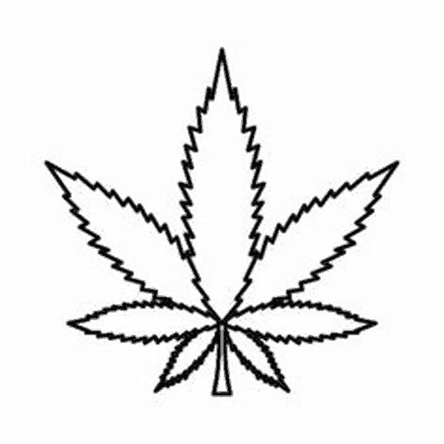 a marijuana leaf icon in outline style on a white background .