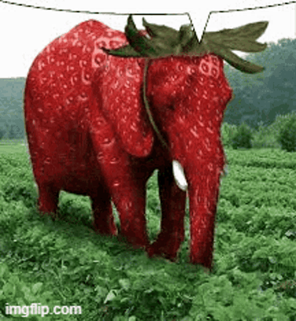 an elephant made out of strawberries is standing in a field of strawberries .