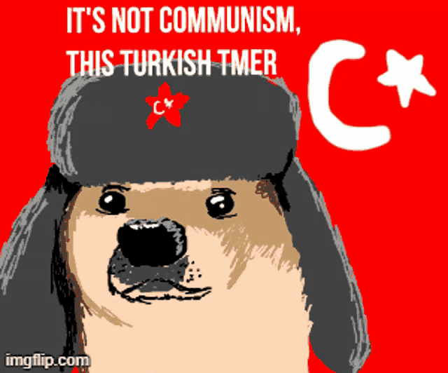 a dog wearing a hat with a red star on it and the words it 's not communism this turkish tmer