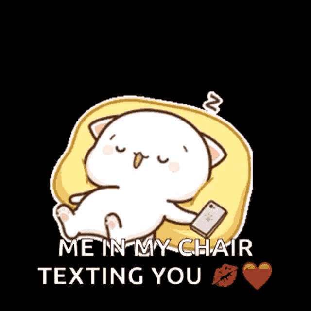 a cartoon cat is sitting on a pillow looking at a cell phone with the words me in my chair texting you below it