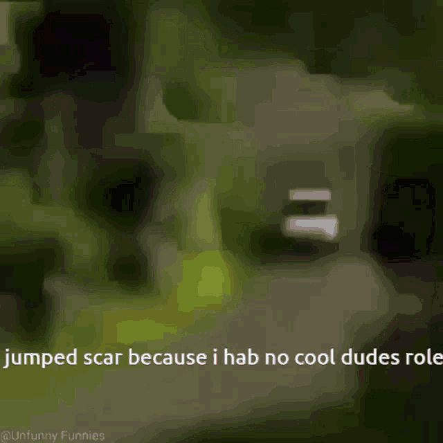 a green background with the words " jumped scar because i had no cool dudes role " on it