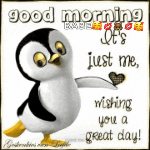 a picture of a penguin with the words good morning babe