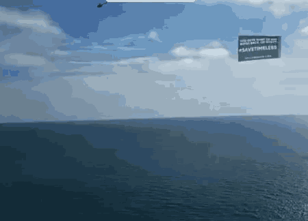 a sign that says " savetimeless " hangs over a body of water