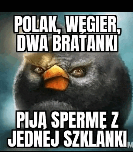 a picture of an angry bird with a foreign language caption