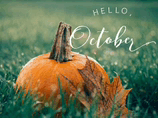 a pumpkin is sitting in the grass with leaves and the words `` hello october '' written above it .