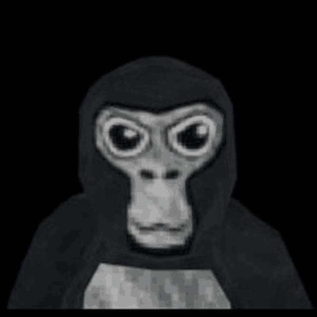 a black and white drawing of a gorilla with big eyes and a hood on a black background .