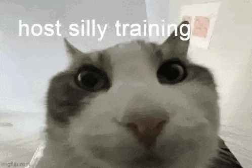 a close up of a cat 's face with the words `` host silly training '' written on the bottom .