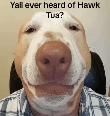 a picture of a dog with the words yall ever heard of hawk tua