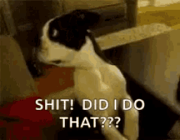 a black and white cat is sitting on its hind legs with the words `` shit ! did i do that ? '' written below it .