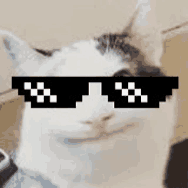 a close up of a cat wearing sunglasses that look like a pixel art .