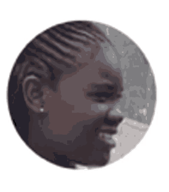 a close up of a woman 's face in a circle with braids in her hair .