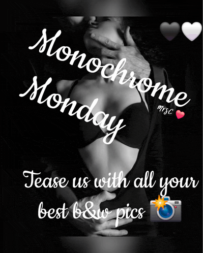 monochrome monday tease us with all your best b&w pics