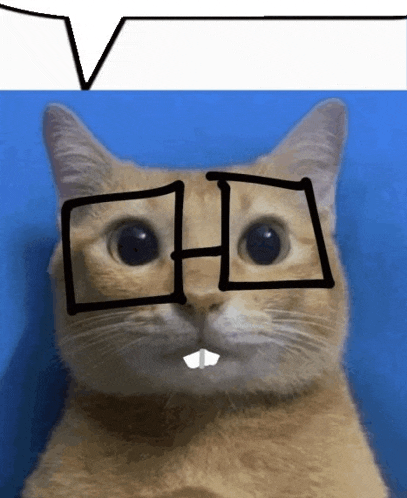 a cat wearing glasses has a speech bubble above its head