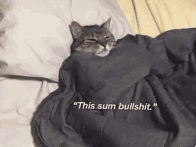 a cat is wrapped in a blanket on a bed with the words `` this sum bullshit '' .