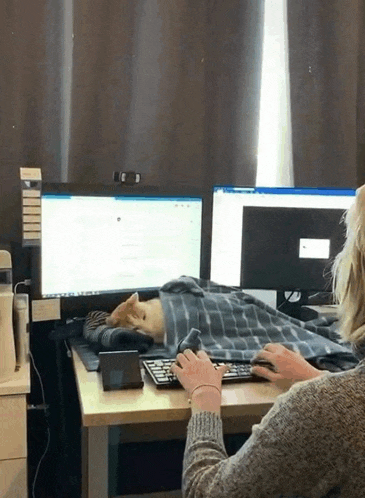 a woman is typing on a keyboard while a cat lays on her lap