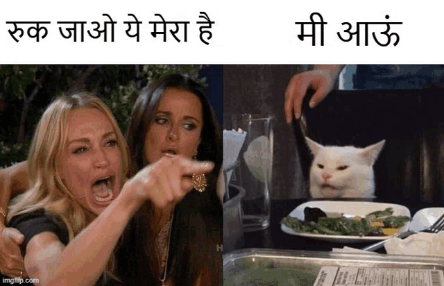 two women are pointing at a cat that is sitting at a table with a plate of food on it .