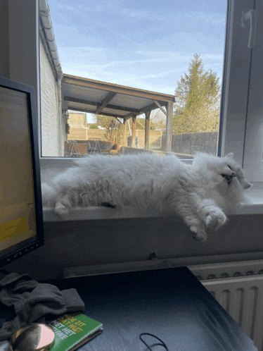 a cat is laying on a window sill next to a book that says " let 's get a life "