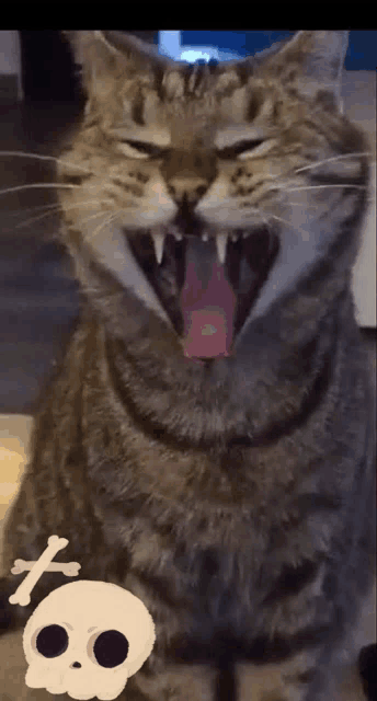 a cat with its mouth wide open and a skull in the background