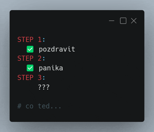 a screenshot of a program that says step 1 pozdravit step 2 panika and step 3 ???