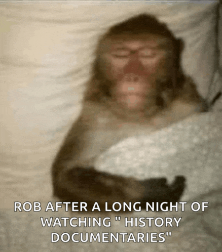 a monkey is sleeping in a bed with the caption " rob after a long night of watching history documentaries "