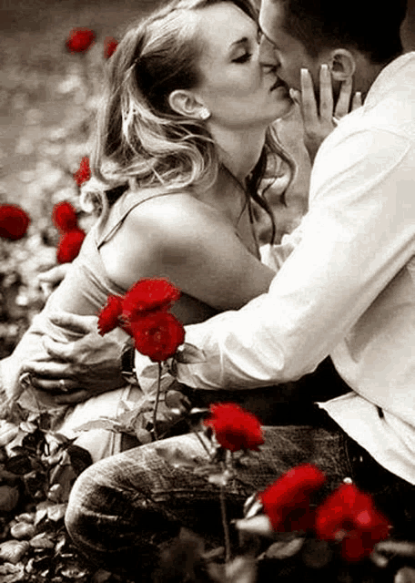 a man and a woman are kissing in a field of roses .