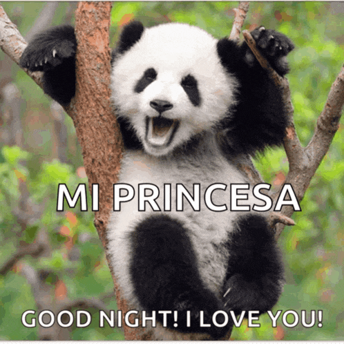 a panda bear sitting in a tree with the words mi princesa good night i love you written below it