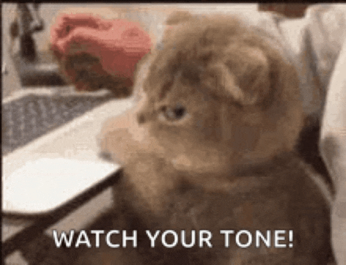 a cat is sitting in front of a laptop computer with the words `` watch your tone '' .