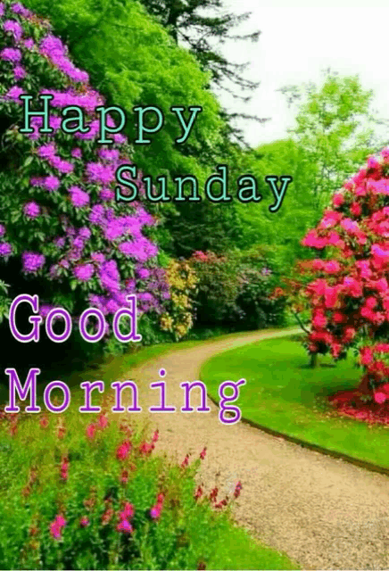 a picture of a garden with the words happy sunday good morning written on it