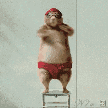 a hamster wearing red swim trunks and goggles is standing on a stool with the number 3 on it