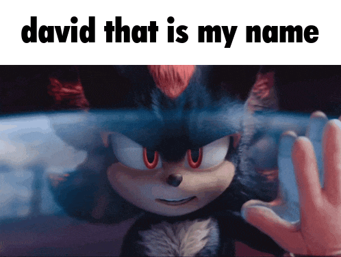 a picture of shadow the hedgehog with the words david that is my name
