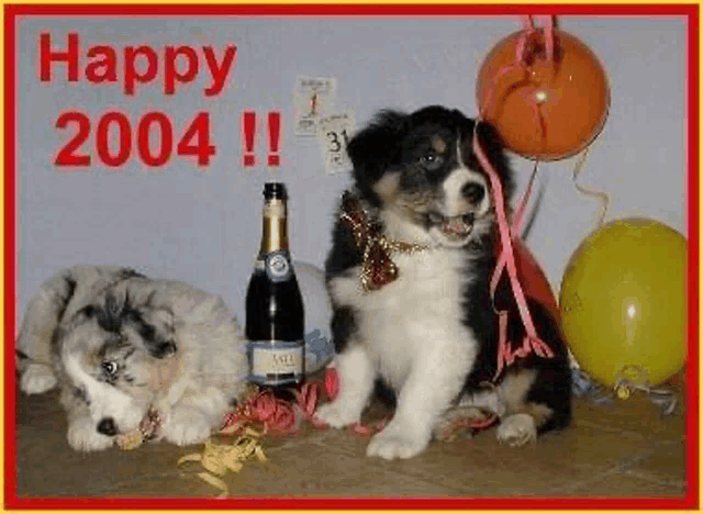 two puppies are sitting next to a bottle of champagne and balloons on a card that says happy 2004 !