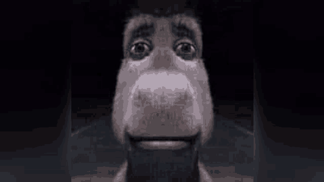 a close up of a donkey 's face with a beard in the dark .