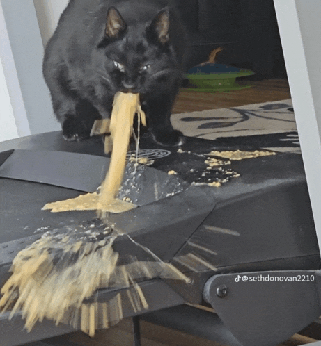 a black cat standing on a treadmill with spaghetti coming out of it