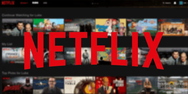 a screen shot of a netflix app with a blurred background