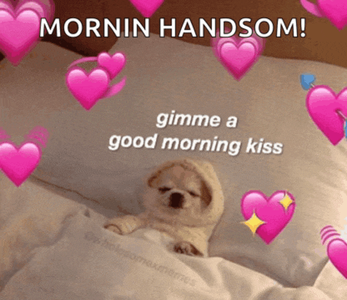 a picture of a puppy laying in bed with hearts and the words mornin handsom gimme a good morning kiss