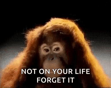 a close up of an orangutan with the words not on your life forget it written below it