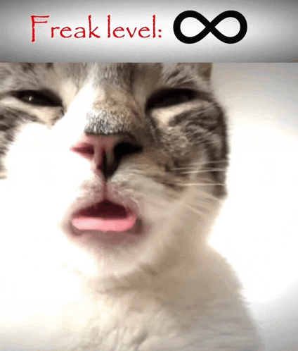 a cat with its tongue sticking out and the words freak level written above it