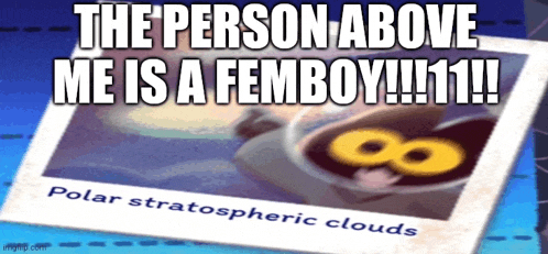 the person above me is a femboy !!! 11