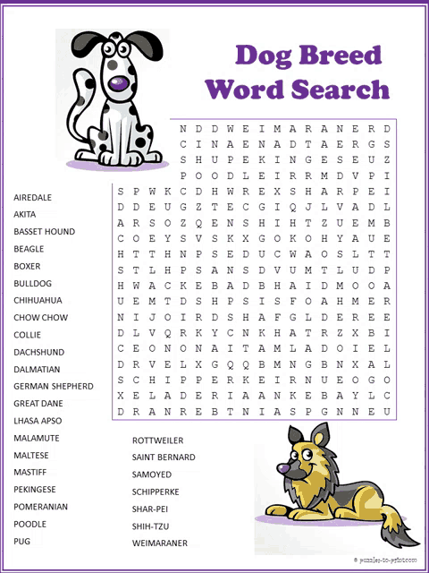 a dog breed word search with a picture of a dog on it