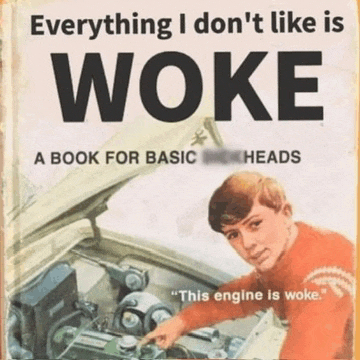 a book titled everything i don t like is woke