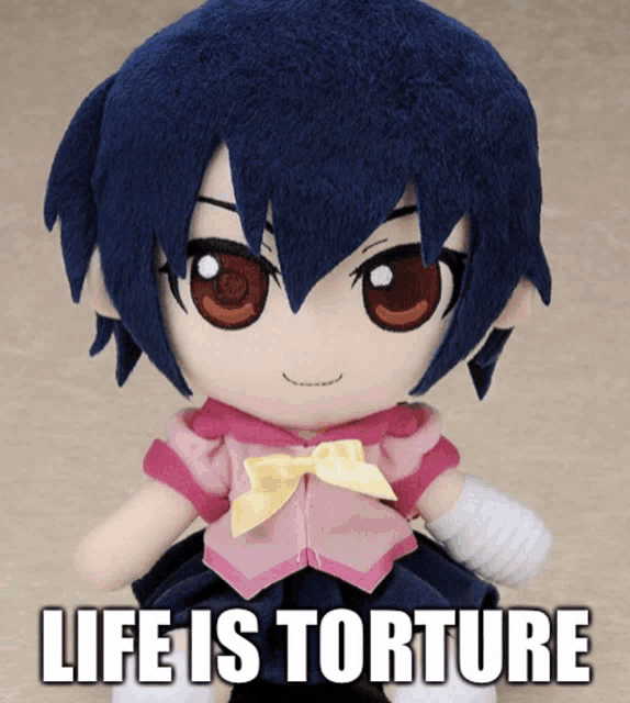 a stuffed doll with the words life is torture written below it