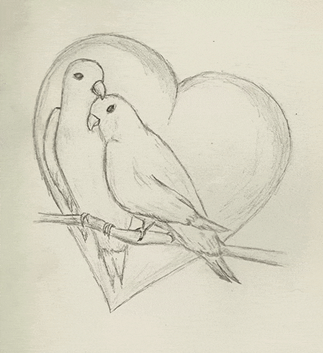 a pencil drawing of two birds in front of a heart