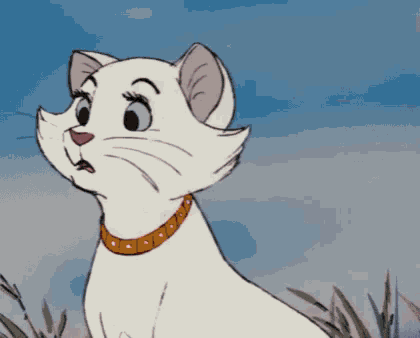 a white cat wearing a collar is looking at the camera