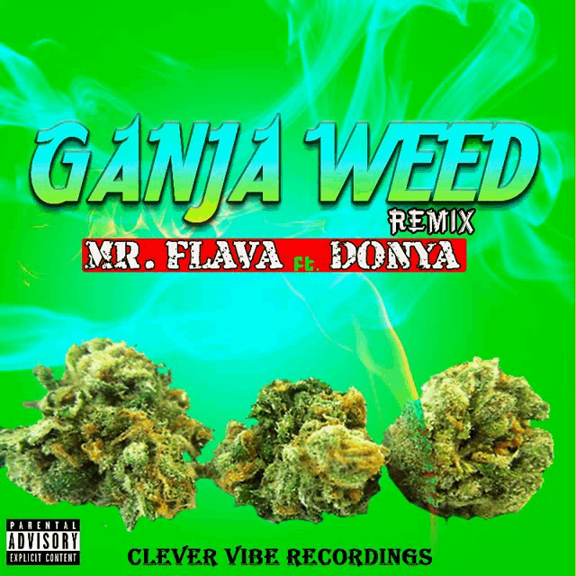 ganja weed remix mr. flava & donya is a clever vibe recording