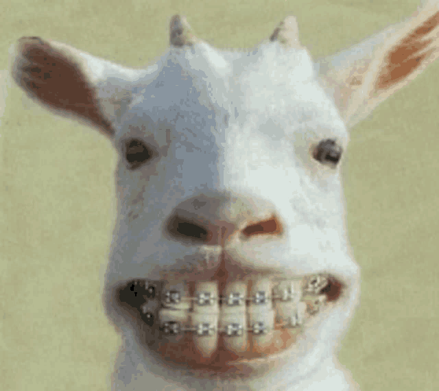 a goat with braces on its teeth is smiling for the camera